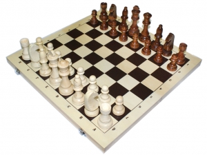 Шахматы G420-3
