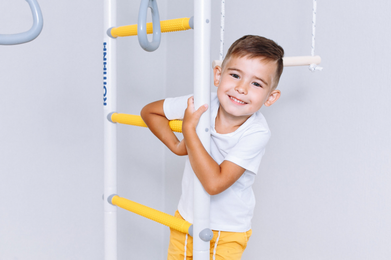 Шведская стенка ROMANA R1 (синяя слива)