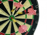 Дартс Champion Tournament BL1818В-2