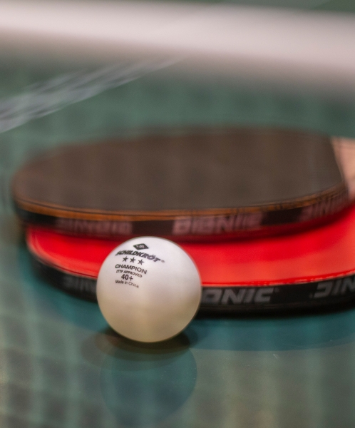 Мяч для настольного тенниса 3* Champion ITTF, белый, 3 шт., Donic