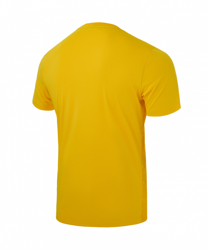Футболка вратарская DIVISION PerFormDRY SPLASH GK Jersey, желтый, размер L, Jögel ЦБ-00004628