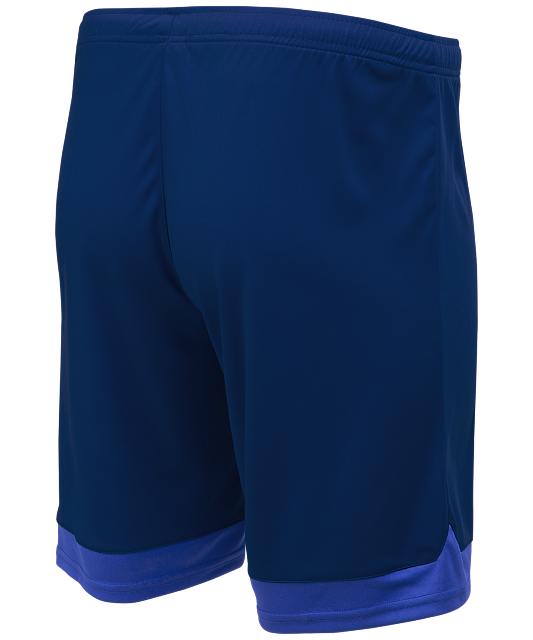 Шорты игровые DIVISION PerFormDRY Union Shorts, темно-синий/синий/белый, размер L, Jögel ЦБ-00000995