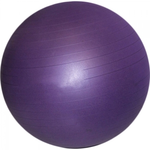 D26125 Мяч гимнастический 55см фиолетовый Gym Ball Anti-Burst Вес: 800гр Спортекс