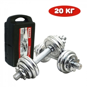 Набор гантелей в кейсе 20 кг York хром Дельта-фитнес B25616