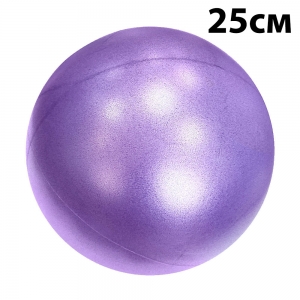 PLB25-6 Мяч для пилатеса 25 см фиолетовый E29315 Спортекс