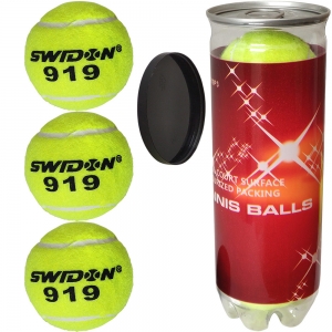 Мячи для большого тенниса Swidon 919 3 штуки в тубе Спортекс E29379