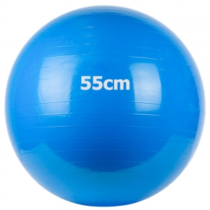 Мяч гимнастический Gum Ball 55 см синий Спортекс GM-55-2