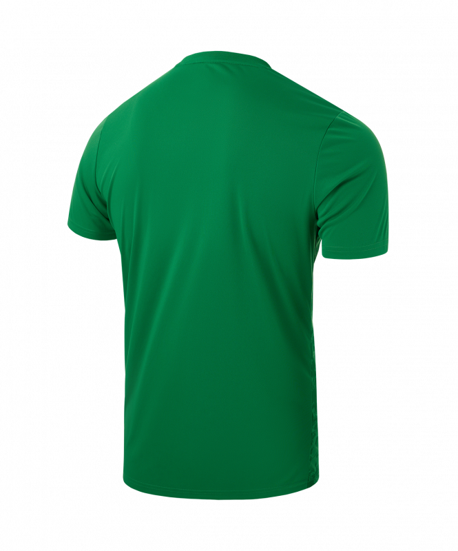 Футболка вратарская DIVISION PerFormDRY SPLASH GK Jersey, зеленый, размер XL, Jögel ЦБ-00004629