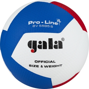 Мяч волейбольный GALA Pro-Line 12, BV5595SA, размер 5, синтетическая кожа ПУ Microfiber, клееный, бутиловая камера, белый-голубой