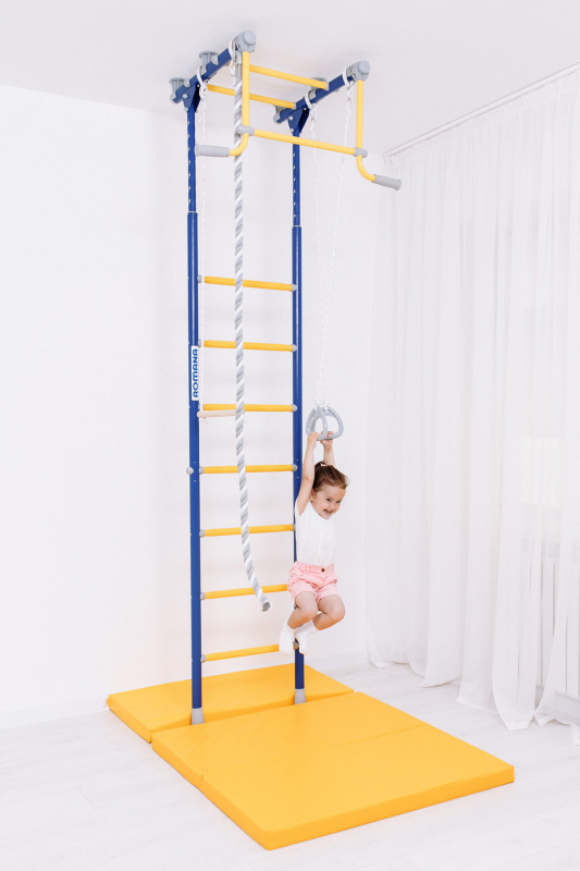 Шведская стенка ROMANA R2 (синяя слива)