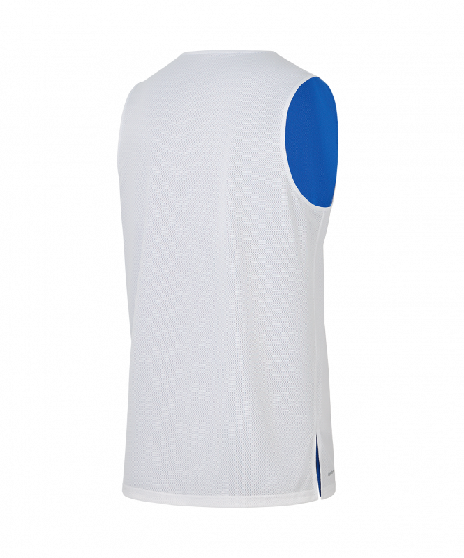 Майка двухсторонняя DIVISION PerFormDRY Double-Side RBF Jersey, синий/белый, Jögel ЦБ-00004383