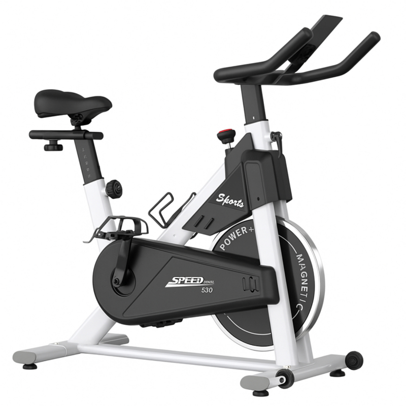 Спин-байк DFC PASYOU / магнитный, до 135 кг