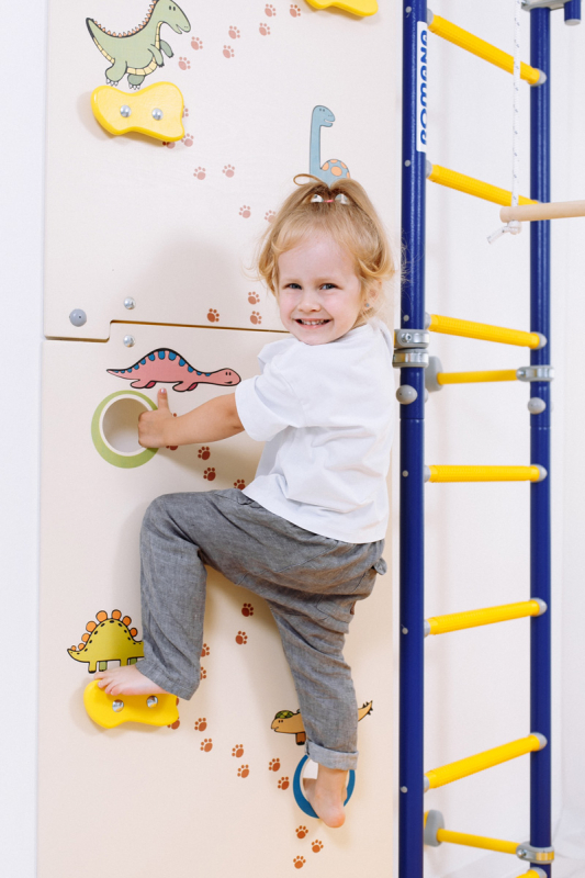 Скалолаз ROMANA Dop21