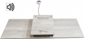 Счетчик-станок для отжиманий со звуковым и световым сигналом Дельта-Фитнес