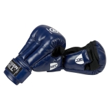 Перчатки Combat Sambo синие Green Hill PG-2047cs S