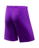 Шорты игровые JOGEL CAMP Classic Shorts, фиолетовый/белый, размер XXXL УТ-00016223