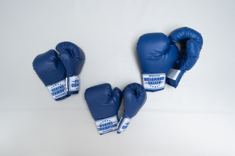 Перчатки боксерские детские (8 унций) Romana