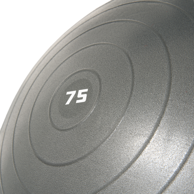 Мяч гимн. TORRES, FB122575, диам. 75 см, эласт. ПВХ, с защ.от взрыва, с насосом, серый