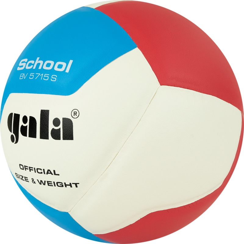 Мяч волейбольный GALA School 12 BV5715S, размер 5