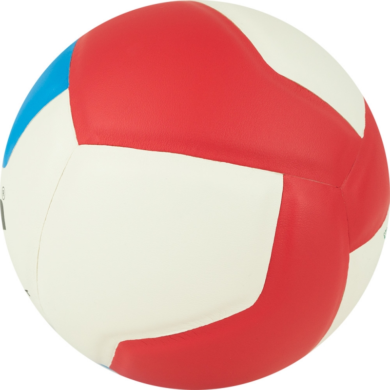 Мяч волейбольный GALA School 12 BV5715S, размер 5