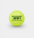 Мячи теннисные Dunlop ATP Championship 4B, 601333, упаковка 4 шт, ITF