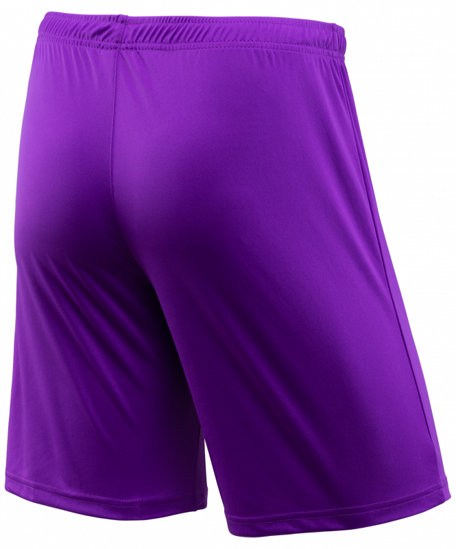 Шорты игровые CAMP Classic Shorts, фиолетовый/белый, детский, размер YL, Jögel УТ-00016224