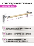 Настенный одноуровневый балетный станок Classic HOME (Серебристый "Бриллиант" (RAL 9007 Г)) STECTER 521