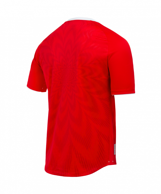 Футболка игровая JOGEL NATIONAL PerFormDRY Home Jersey, красный, размер XS ЦБ-00003556