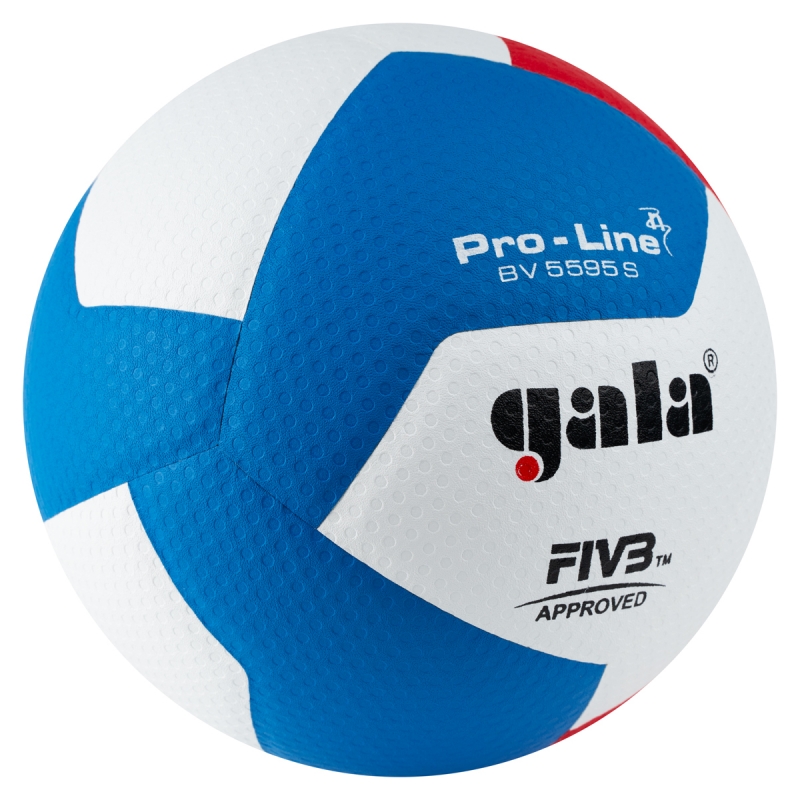 Мяч волейбольный GALA Pro-Line 12 FIVB, BV5595S, размер 5