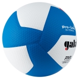 Мяч волейбольный GALA Pro-Line 12 FIVB, BV5595S, размер 5