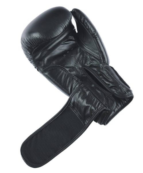 Перчатки боксерские ARES, кожа, черный, 8 oz, Insane