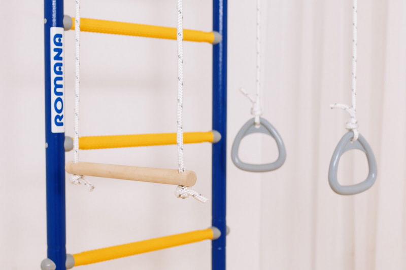 Шведская стенка ROMANA R2 (синяя слива)