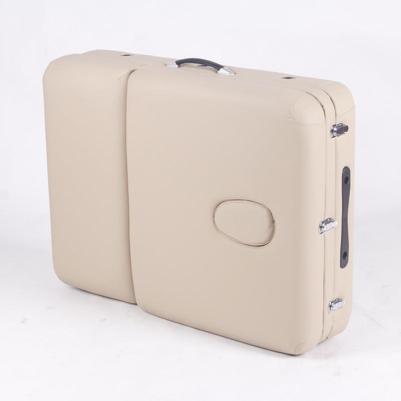 Массажный стол DFC PROFI3 TS312H складной