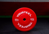 Диск технический пластиковый 2,5 кг, красный YOUSTEEL