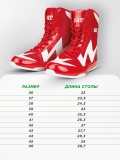 Боксерки STORM красные Green Hill BSS-2020 40