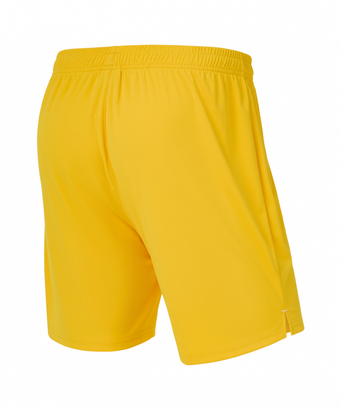 Шорты вратарские JOGEL PREMIER PerFormDRY GK Shorts Yellow, желтый, размер L ЦБ-00004510
