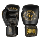 боксерские перчатки THUNDER чёрный Green Hill THBGSP-00 16oz
