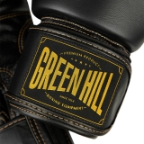боксерские перчатки THUNDER чёрный Green Hill THBGSP-00 16oz