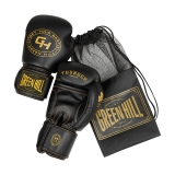 боксерские перчатки THUNDER чёрный Green Hill THBGSP-00 16oz