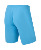 Шорты игровые CAMP Classic Shorts, голубой, размер L, JÖGEL ЦБ-00004988
