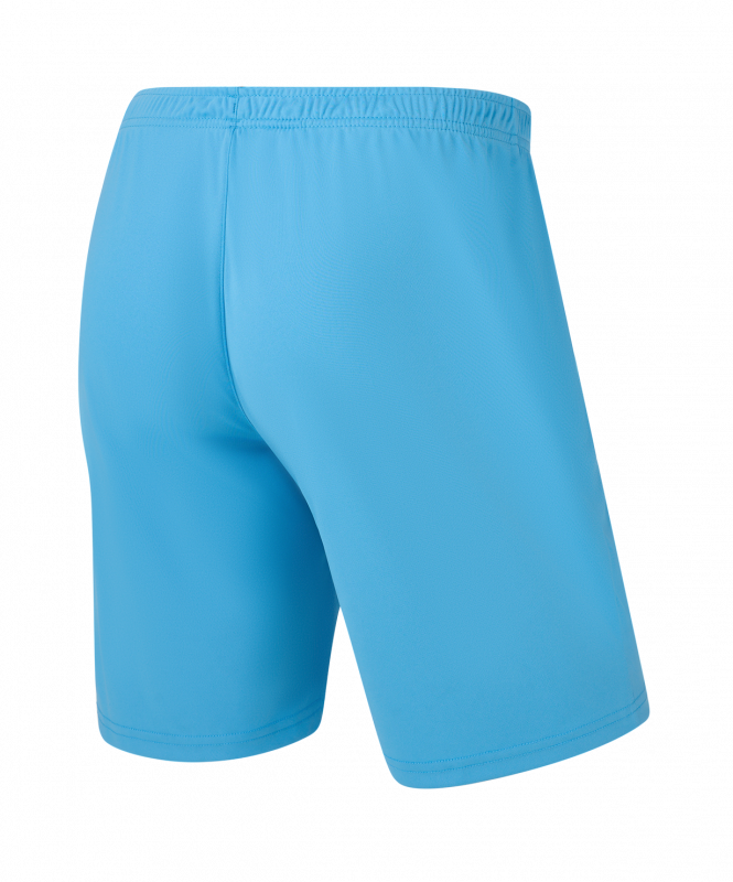 Шорты игровые CAMP Classic Shorts, голубой, размер L, JÖGEL ЦБ-00004988