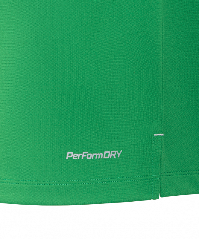 Футболка вратарская JÖGEL NATIONAL PerFormDRY GK Jersey, зеленый, размер XXL ЦБ-00003184