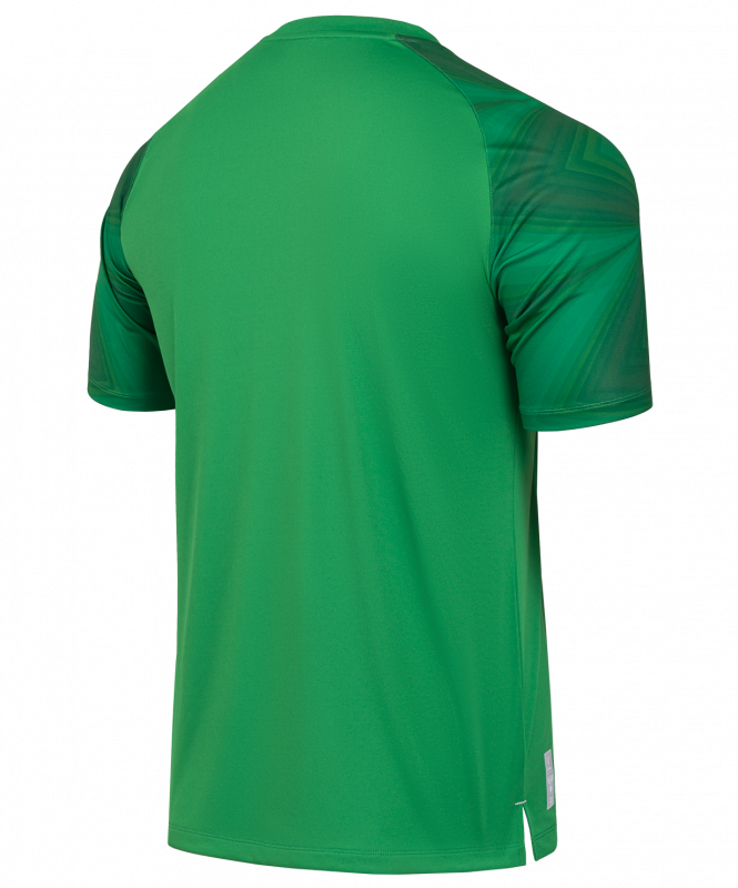 Футболка вратарская JÖGEL NATIONAL PerFormDRY GK Jersey, зеленый, размер XXL ЦБ-00003184