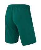 Шорты игровые CAMP Classic Shorts, темно-зеленый, размер XXL, JÖGEL ЦБ-00004612