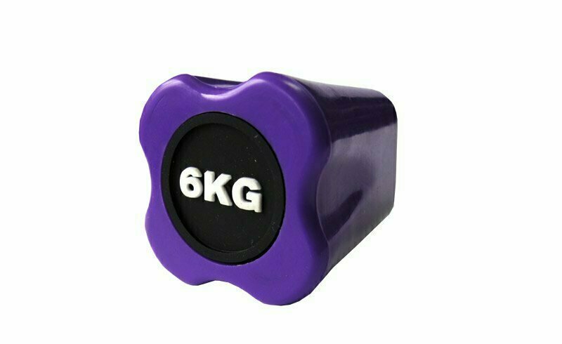 Бодибар FT 6 кг пурпурный наконечник Original FitTools FT-BDB-6