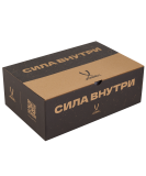 Кроссовки баскетбольные Launch LOW, Black/gold, размер 41, Jögel ЦБ-00003482