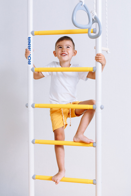 Шведская стенка ROMANA R1 (синяя слива)