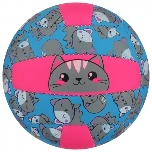 Мяч волейбольный Onlitop Кошечка (размер 2)