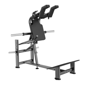 Приседание E7065 DHZ Fitness