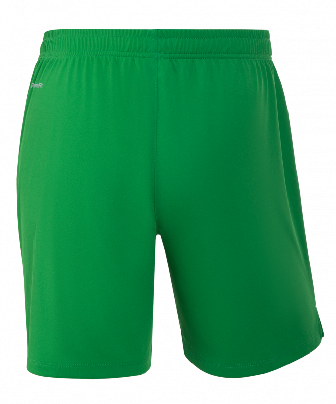 Шорты вратарские JOGEL NATIONAL PerFormDRY GK Shorts, зеленый, размер XS ЦБ-00003163